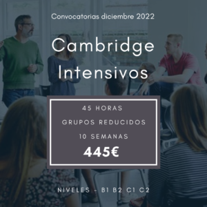 Cursos intensivos Cambridge Pamplona - 4 Real English