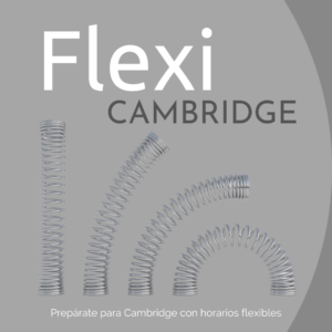 Flexi Cambridge - preparación Cambridge conhorarios flexibles en Pamplona